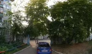 Фотография Гаврош 4